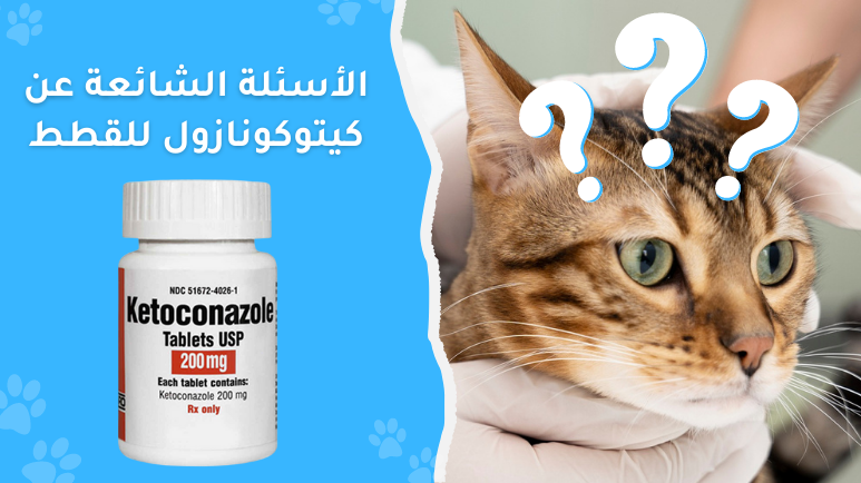 دواء كيتوكونازول للقطط