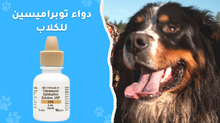توبراميسين للكلاب (tobramycin for dogs)