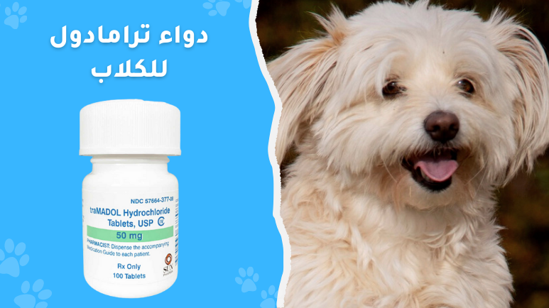 ترامادول للكلاب (tramadol for dogs)