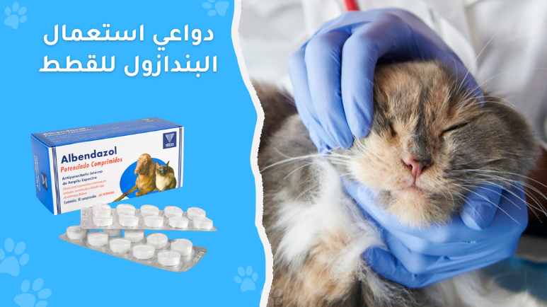 Albendazole for Cats uses