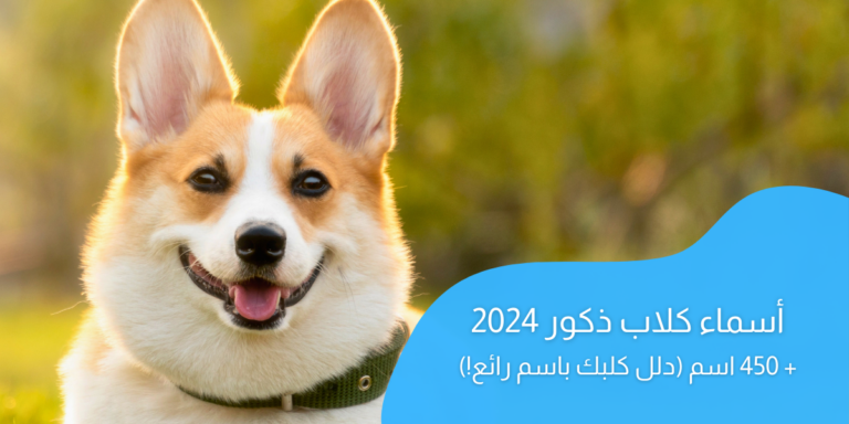 أسماء كلاب ذكور 2024؛ أفضل 450 اسم (دلل كلبك باسم رائع!)