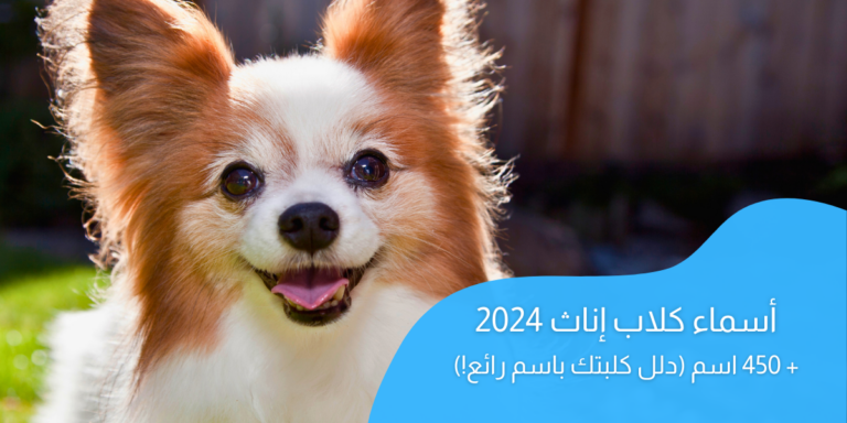 اسماء كلاب اناث 2024 ؛ أكثر من 450 اسم (دلل كلبتك باسم رائع!)